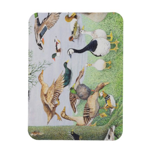 De Odd Duck Magneet (Verticaal)