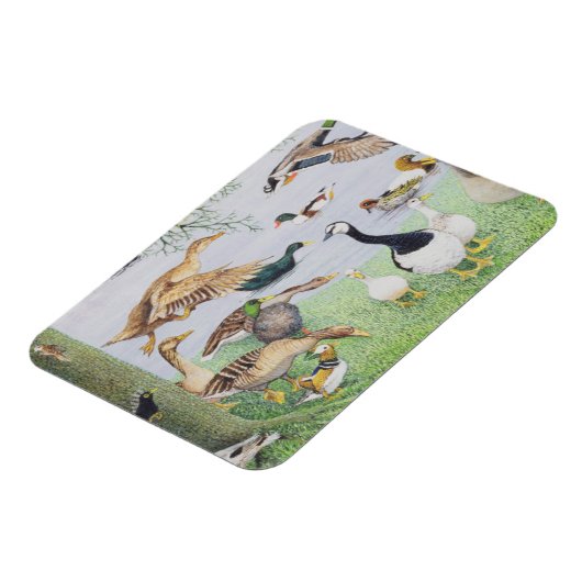 De Odd Duck Magneet (Linkerzijde)