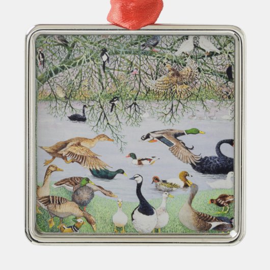 De Odd Duck Metalen Ornament (Voorkant)