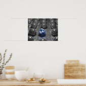 De Oddball Poster (Keuken)