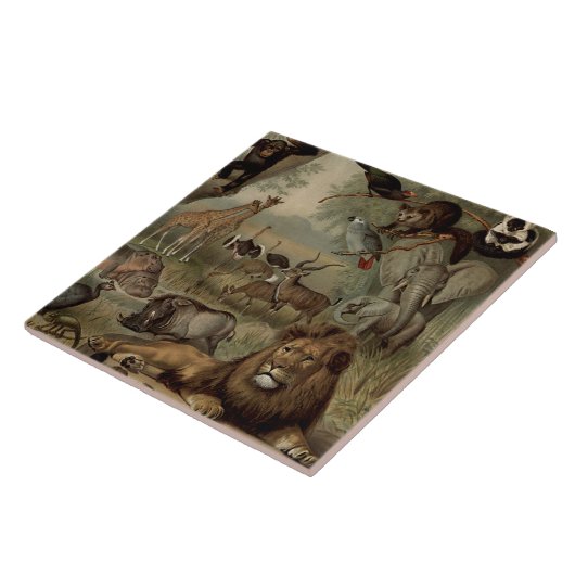 De  Oerwoud tegel Tegeltje (Zijkant)