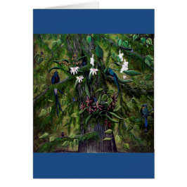 De Oerwouden van Tikal