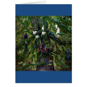 De Oerwouden van Tikal