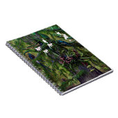 De Oerwouden van Tikal Notitieboek (Rechterzijde)