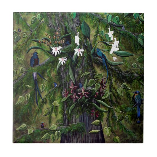 De Oerwouden van Tikal Tegeltje (Voorkant)