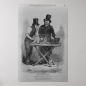 De oester Stall Poster (Voorkant)