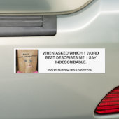 DE OFFICIËLE MIJN-RANDOMALITEIT BUMPERSTICKER (Op auto)