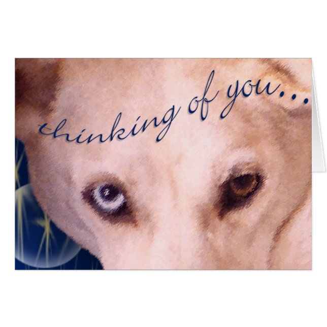 De ogen hebben het! (Voorkant Horizontaal)