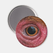 "De ogen hebben het" Chicken Eye #1 Magnet (Voorkant / Achterkant)