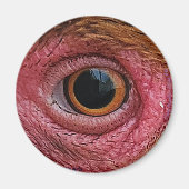"De ogen hebben het" Chicken Eye #1 Magnet (Voorkant)