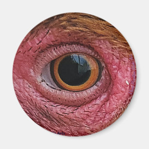 "De ogen hebben het" Chicken Eye #1 Magnet