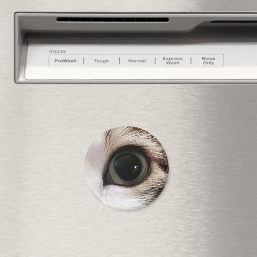 "De ogen hebben het" kattenoog #2 magneet (Insitu (Vaatwasser))