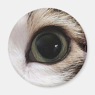 "De ogen hebben het" kattenoog #2 magneet