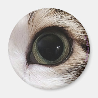 "De ogen hebben het" kattenoog #2 magneet