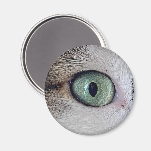 "De ogen hebben het" kattenoogmagneet Magneet (Voorkant / Achterkant)