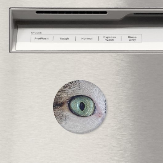 "De ogen hebben het" kattenoogmagneet Magneet (Insitu (Vaatwasser))