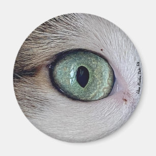 "De ogen hebben het" kattenoogmagneet Magneet