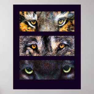 De ogen hebben het, Poster