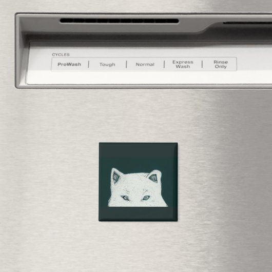 de ogen magneet (Insitu (Vaatwasser))