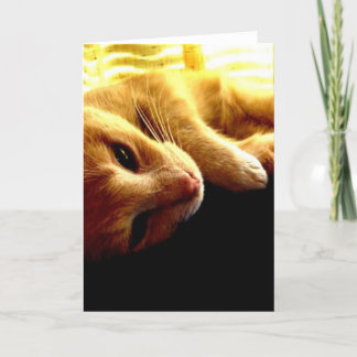 De Ogen van de engel Kaart