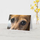 De Ogen van de hond Kaart (Gele Bloem)