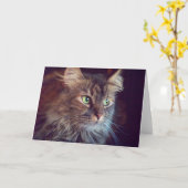 De Ogen van de maskerade, het Wenskaart van Maine Kaart (Gele Bloem)