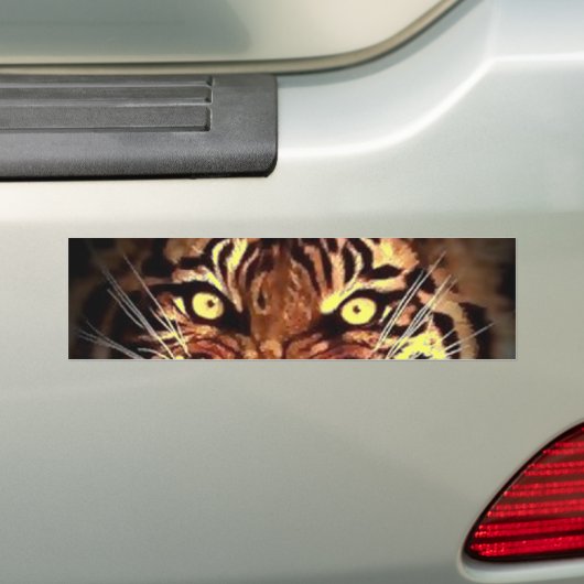 De ogen van de wilde Sumatraanse tijger Bumperstic Bumpersticker (Op auto)