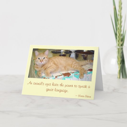 De ogen van een dier kaart (Voorkant)