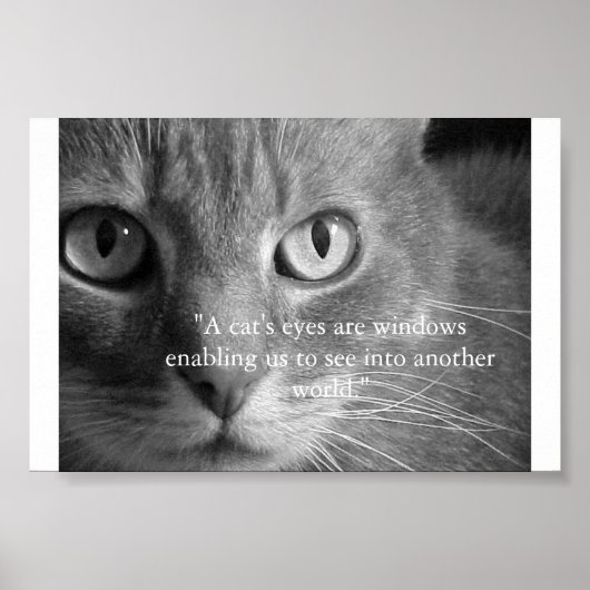 De ogen van een kat... poster (Voorkant)