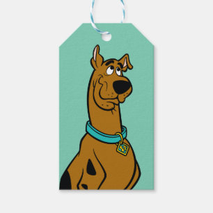 De Ogen van het Puppy scooby-Doo Cadeaulabel