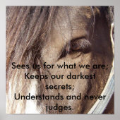 De ogen van Wisdom Poster (Voorkant)