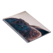 DE OLDEST CHIMPANZEE NOTITIEBOEK (Rechterzijde)