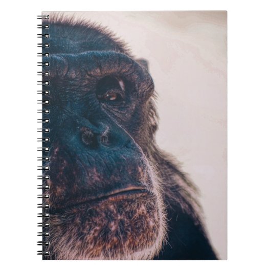 DE OLDEST CHIMPANZEE NOTITIEBOEK (Voorkant)
