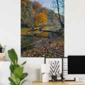 De Olentangy rivier in de Herfst, het park Highban Poster (Thuiskantoor)