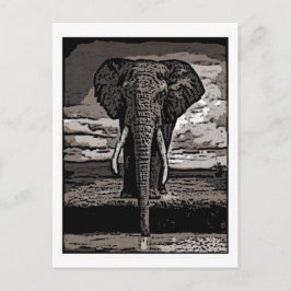 De olifant briefkaart