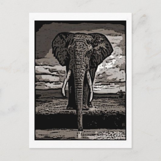 De olifant briefkaart (Voorkant)