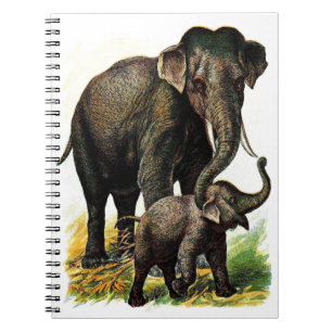 De Olifant van de moeder met Kalf Notitieboek