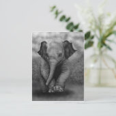 De Olifant van het baby Briefkaart (Staand voorkant)