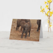De Olifant van het baby Kaart (Gele Bloem)