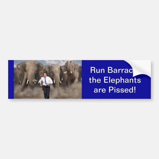 De olifanten zijn kwaad. bumpersticker (Voorkant)
