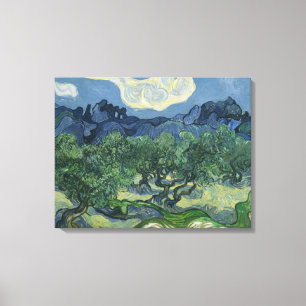 De olijfbomen - Van Gogh Canvas Afdruk