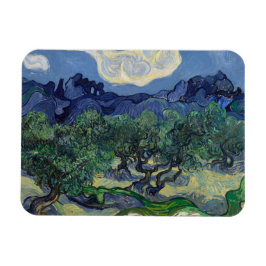 De olijfbomen van Vincent Van Gogh Magneet