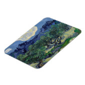 De olijfbomen van Vincent Van Gogh Magneet (Linkerzijde)