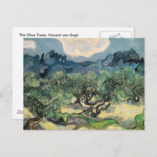 De Olijfbomen, Vincent van Gogh Briefkaart (Voorkant / Achterkant)