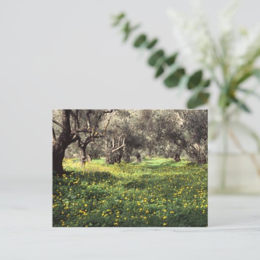 De olijfgaard briefkaart (Staand voorkant)