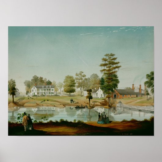 De Olivier Plantation, 1861 Poster (Voorkant)