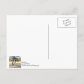De Ollie Painterly Briefkaart (Achterkant)