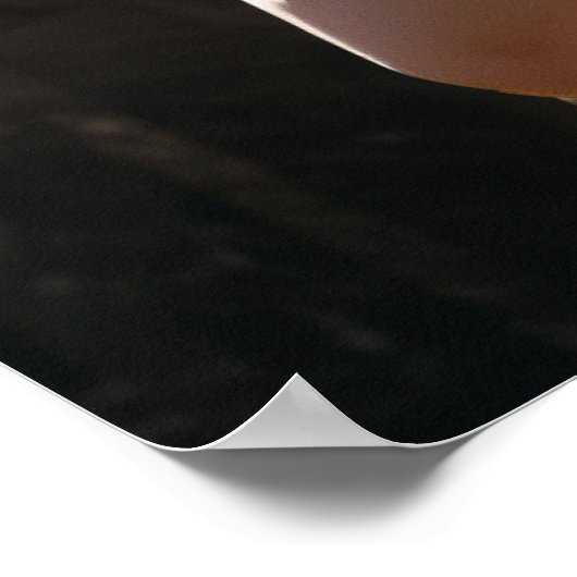 De Olympiërs: Aphrodite, Godin van de Liefde Poster (Hoek)