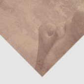 de omarming tissuepapier (Detail)