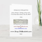 De omgorde Ijsvogel	 (Alcedo alcyon) Kaart (Achterkant)